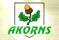 Akorns, medžio apdirbimas