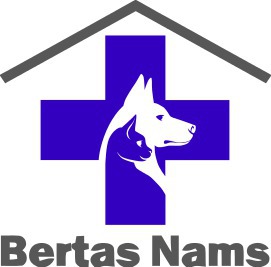 Bertas nams, SIA