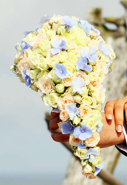 Bridal bouquet with roses and hydrangea. Author: Kristīna Meļņika