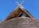 Eco Roof  niedru jumti un celtniecība
