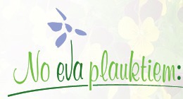 Eva dārzam, SIA