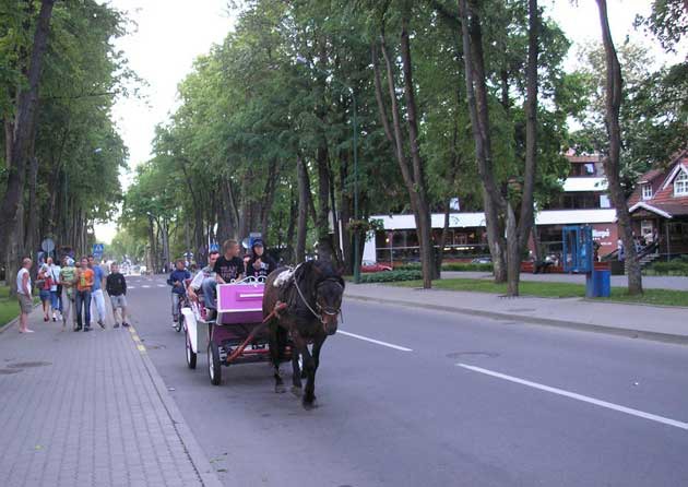 Recreation and entertainment in  Palanga