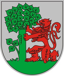 Liepājas pilsētas dome