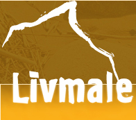 Līvmale, nekilnojamo turto biuras