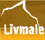 Līvmale, бюро недвижимости