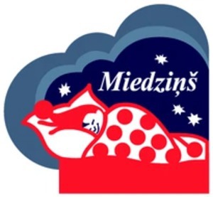 Miedziņš, parduotuvė