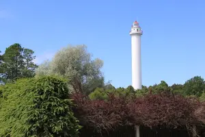 Miķeļbāka, bāka