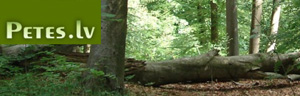 Pētes, Umgebung, Einrichtung der Grünanlagen
