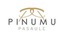 Pinumu pasaule, SIA