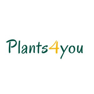 Plants4You, SIA, Pflanzenzucht