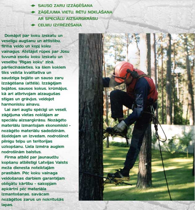 Pavojų keliančių medžių pjovimas