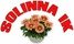 Solinna, IK