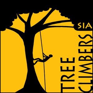Tree Climbers, SIA