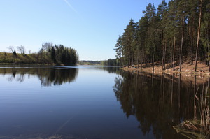 Ūdensrozes, ZS