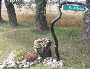 Vaidelotes, apžvalgos ūkis