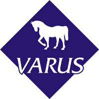 VARUS SIA, automobilių nuoma