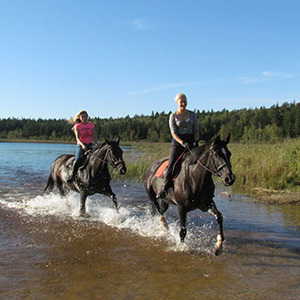 Vītoliņi, ZS