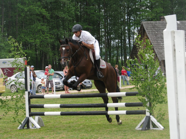 Riding sport - show jumping