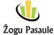 Žogu Pasaule, SIA